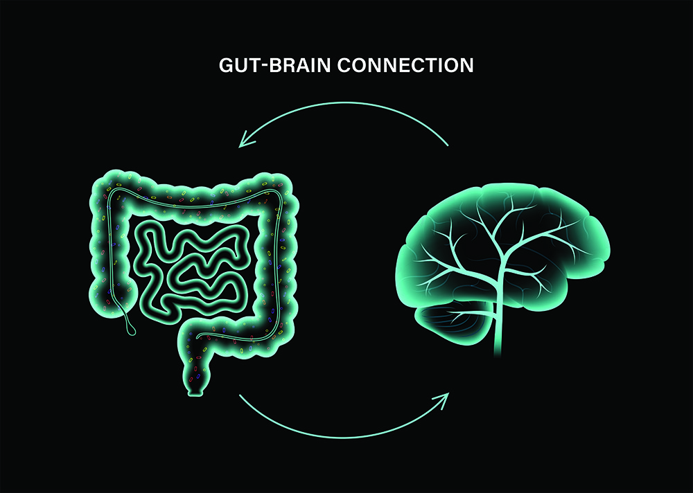 brain-gut connection