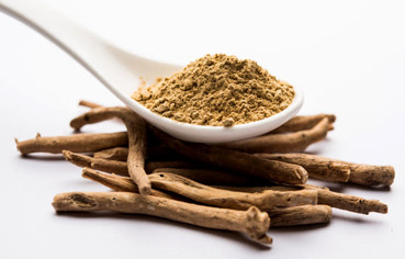 Ashwagandha Root