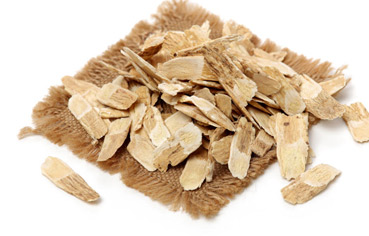 Astragalus Root